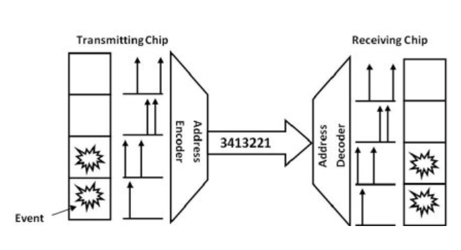 Standard address event representation (AER) protocol. The address of the spiking neuron is encoded as a unique binary address, which is broadcasted on a digital bus. The decoder on the receiver de- codes the address and directs the signal to the appropriate location.