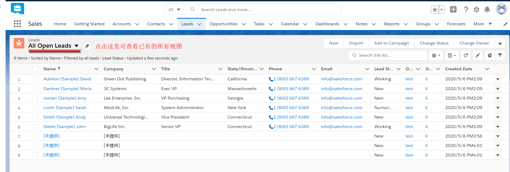salesforce-潜在客户Lead的视图管理_salesforce 客户列表-CSDN博客