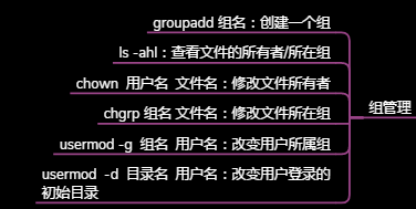 我，【Linux】，一个你离不开的操作系统开发工具qq40181435的博客-