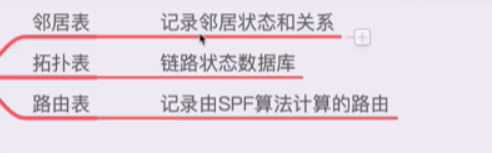 OSPF三张表脑图