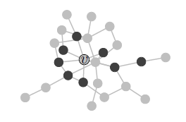 graph structure