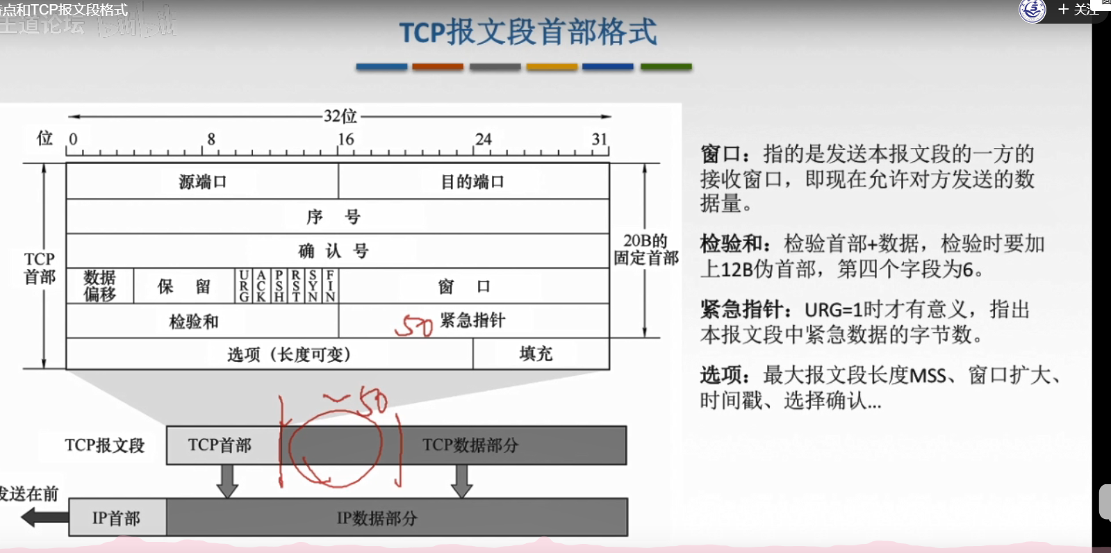 5.3.1 TCP协议特点和TCP报文段格式