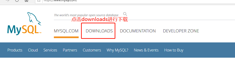 你的MySQL下载对了吗？？