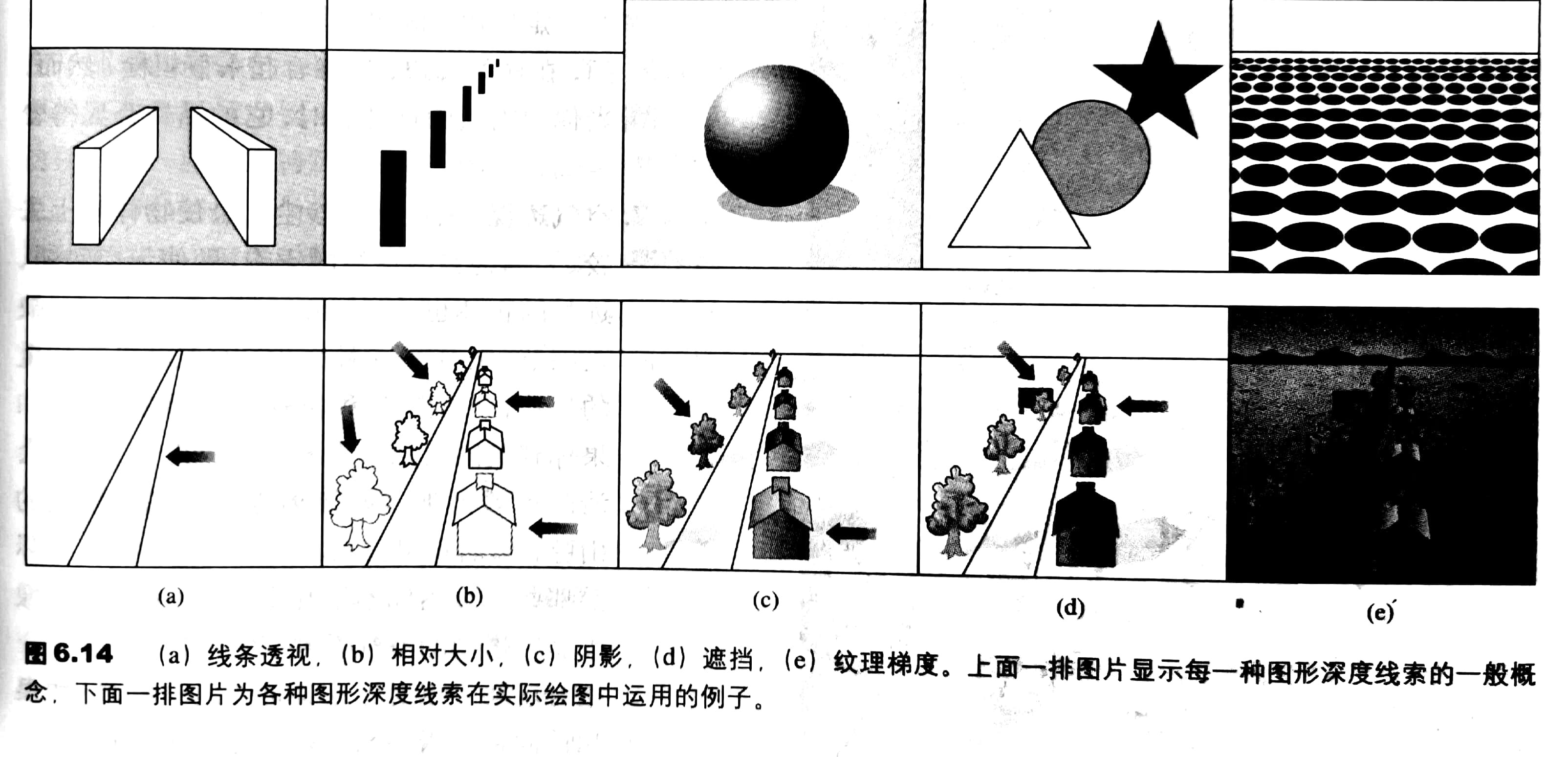 深度知觉