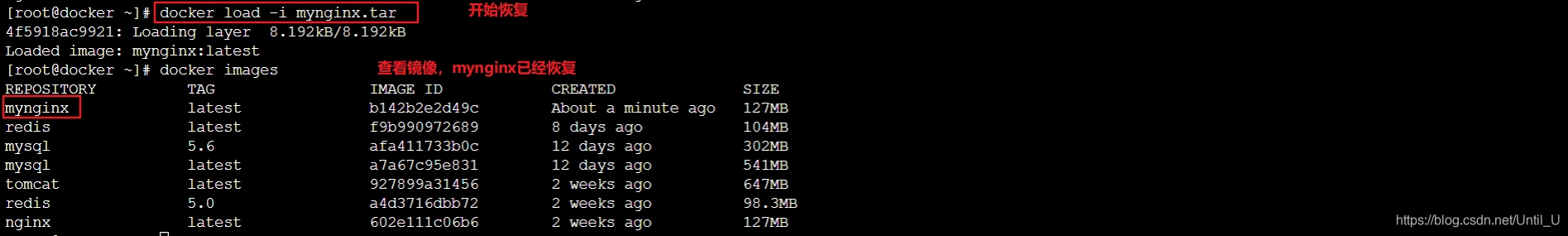 超全的Docker学习教程(Linux云计算从入门到精通)运维UntilU的博客-