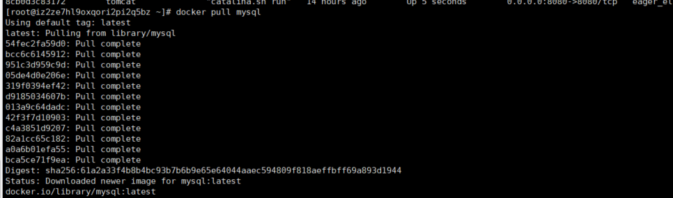 在阿里云服务器的docker上安装mysql并远程连接运维qq43925089的博客-