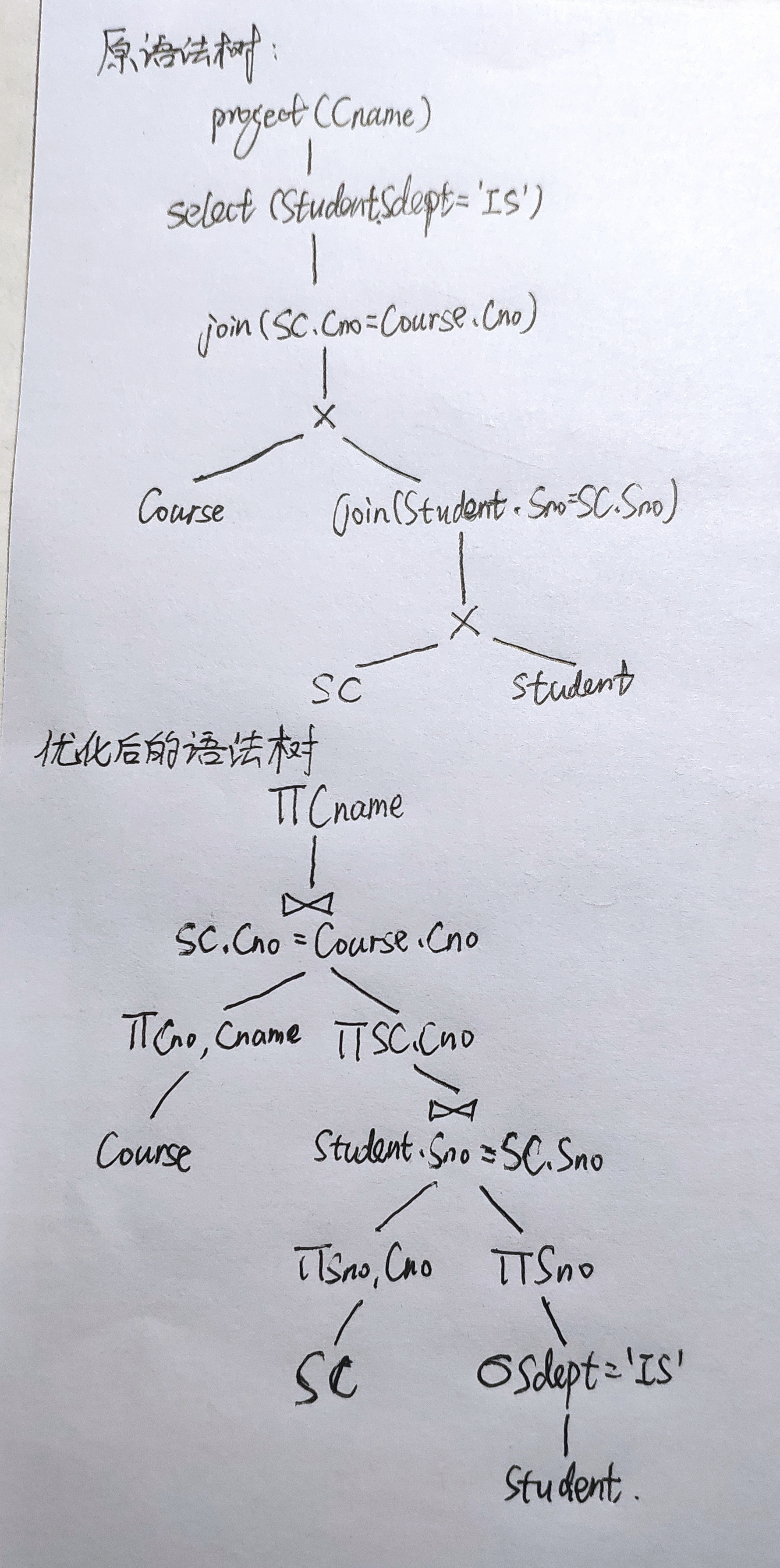 T1