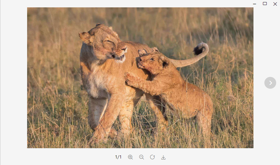 js实现仿pc端微信查看图片功能