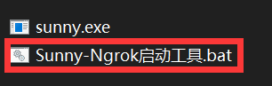 必知必会！怎样让别人看到我的（本地）网页或项目？-（Ngrok内网穿透）-（免费）-（保姆级教学）javaGreatBiscuit的博客-