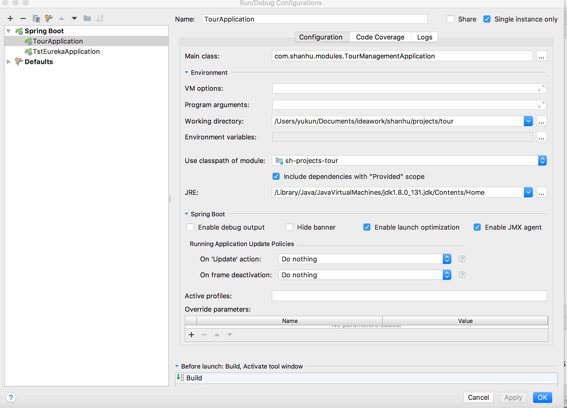 idea 启动springboot项目 控制打印彩色_javaspringboot项目