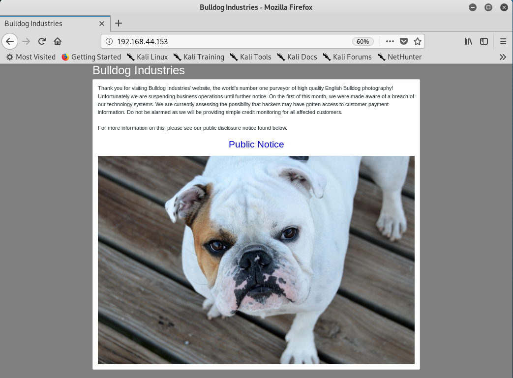 [网络安全自学篇] 七十五.Vulnhub靶机渗透之bulldog信息收集和nc反弹shell（三）网络杨秀璋的专栏-