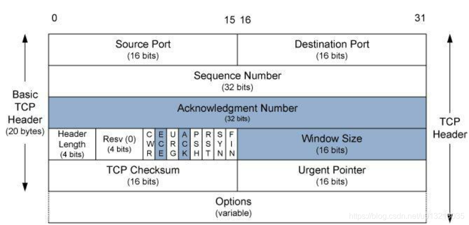 tcp头部分析_tcp doff-CSDN博客