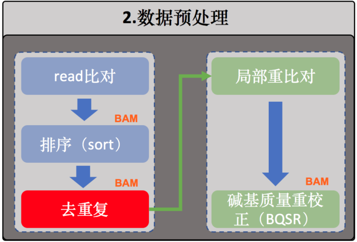 WGS（重测序）分析详解与脚本_wgs的hard filter 与vqsr-CSDN博客