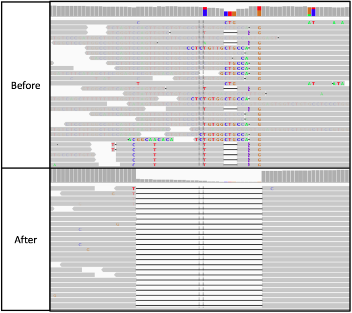 WGS（重测序）分析详解与脚本_wgs的hard filter 与vqsr-CSDN博客