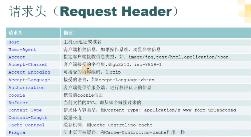 Use Fiddler packet capture tool - Programmer Sought