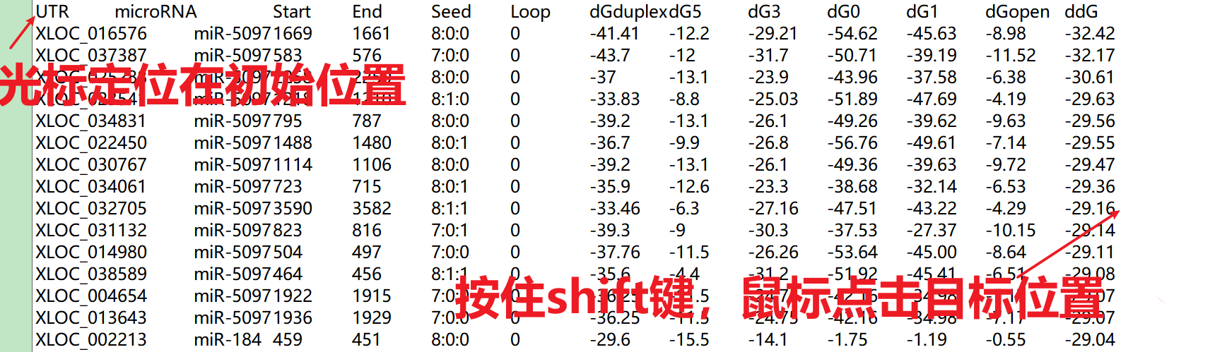 mirna预测靶基因结果怎么看_基因预测