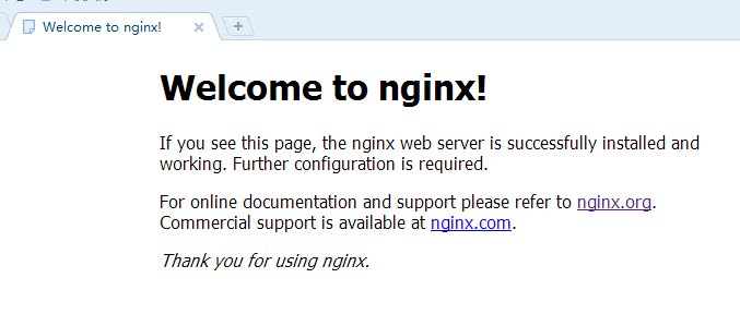 Nginx