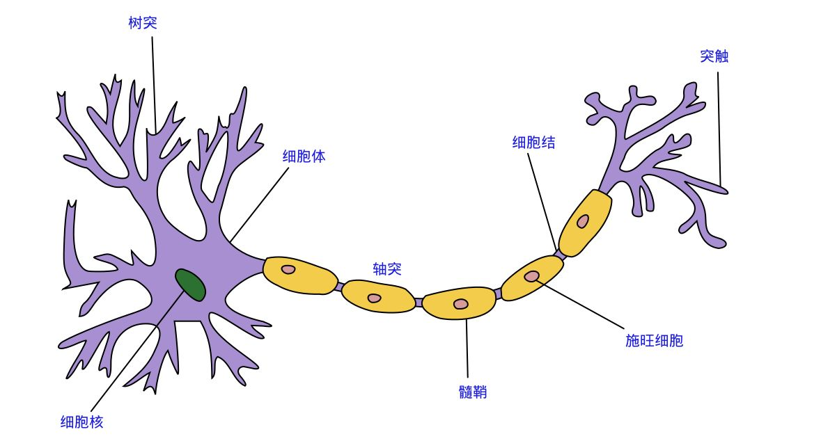 Zelig 不是有效的已经安装了的程序包 Csdn