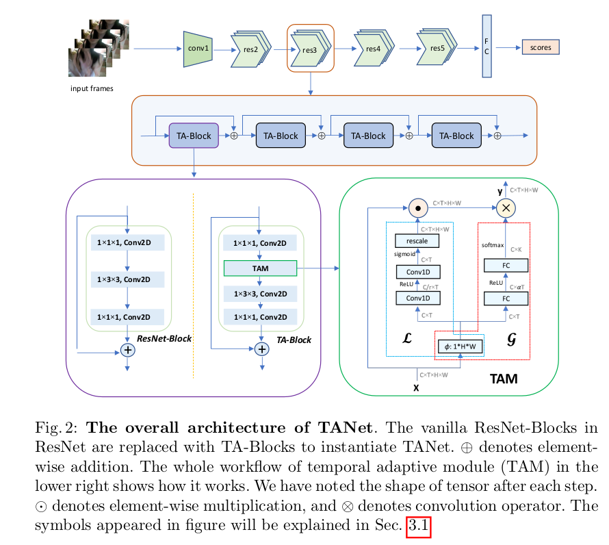 TAM: Temporal Adaptive Module for Video Recognition论文学习_tam注意力机制-CSDN博客