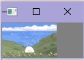 resize结果
