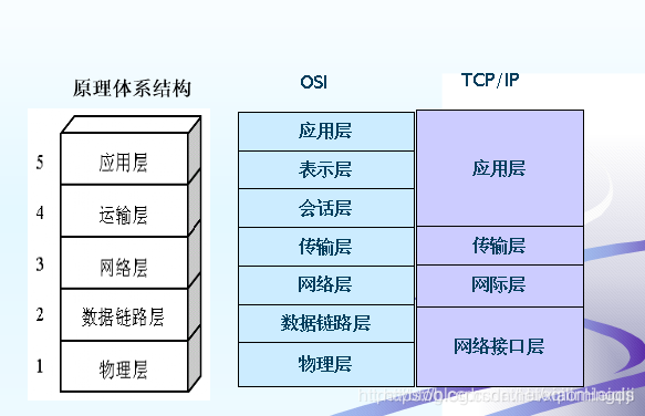 参考模型