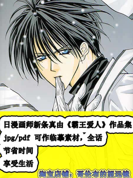 日本漫画师新条真由 霸王爱人 漫画素材pdf版 盖乌斯的博客 Csdn博客