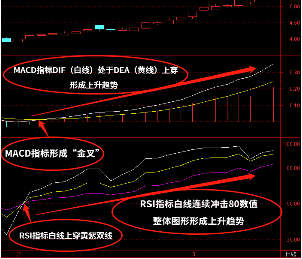 【攻略】MACD+RSI怎么使用？MACD+KDJ怎么使用？MACD+BOLL怎么使用？（附图详解）