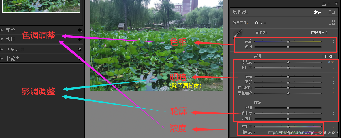 Adobe Lightroom Classic 入门教程 二 修改照片 基本面板与色调面板 樱花之恋ღ Csdn博客