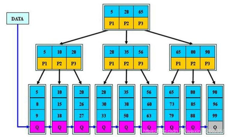 B+树结构