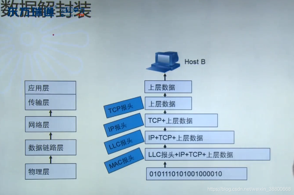 【计算机网络】一图让你看懂!TCP/IP的层间通信和数据封装_tcp ip的协议封装图应该怎么看-CSDN博客