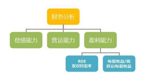 什么是roe Roa和ros 衡量企业盈利能力的比率有哪些 极客神殿 Csdn博客