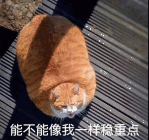 面试官：指针都不会，我们不需要你这样的人！c/c++@wangxin的博客-