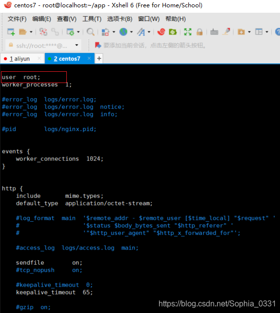 Nginx部署前端项目到服务器运维温娉哲-