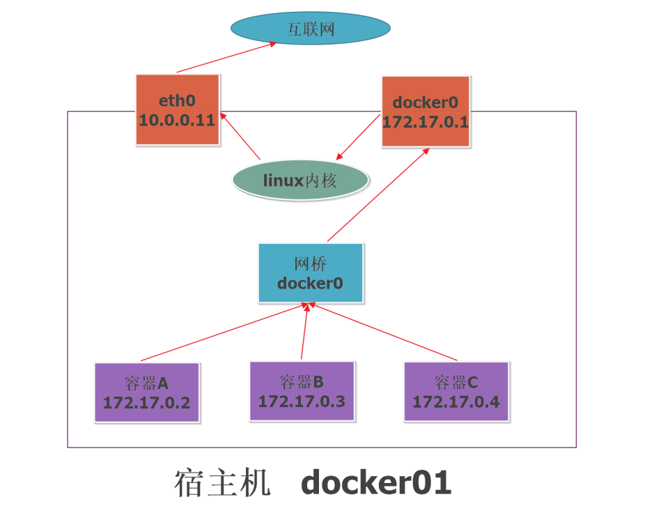 手把手带你学Docker：Docker的网络原理（五）运维偏偏爱吃梨的博客-