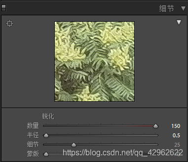 Adobe Lightroom Classic 入门教程 五 修改照片 数字图像降噪与锐化细节 樱花之恋ღ Csdn博客