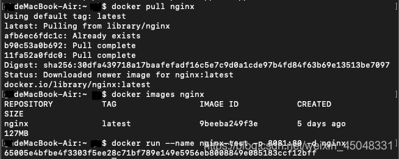 nginx