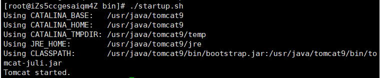 tomcat启动成功