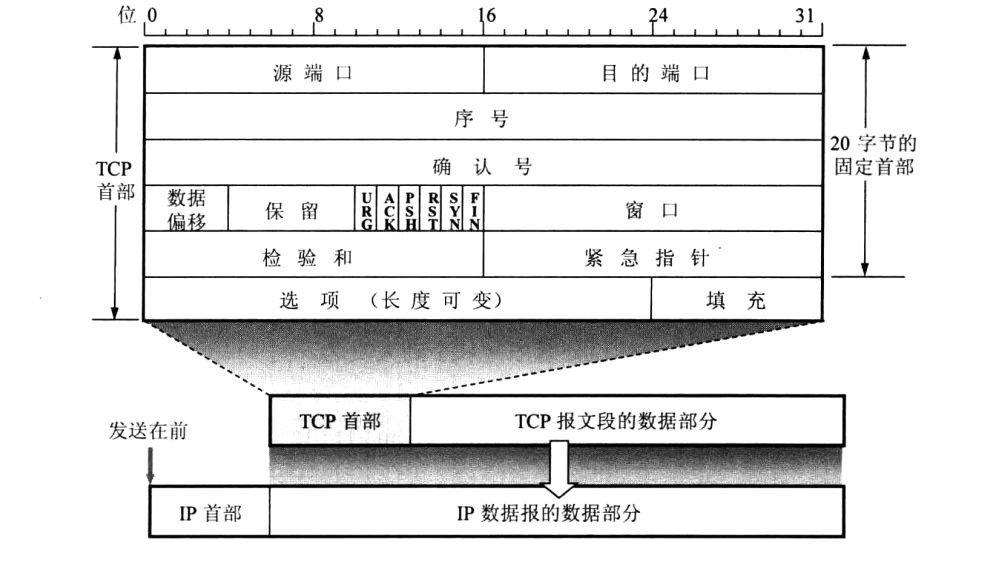TCP报文段格式