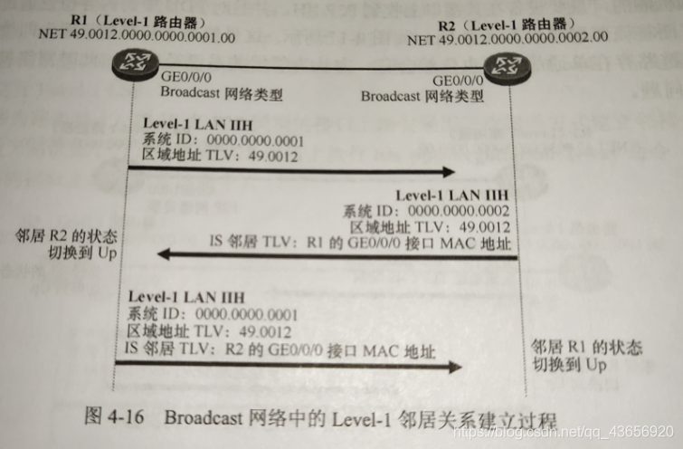 Broadcast网络中的Level-1邻居关系建立过程