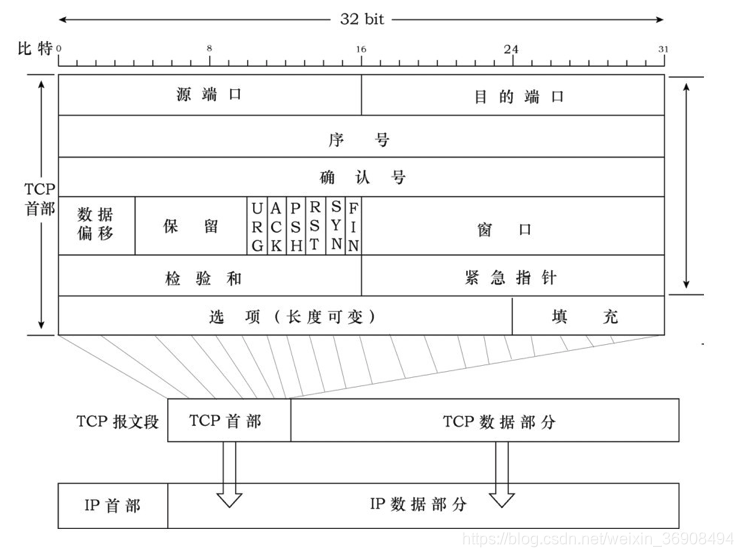 TCP 报文