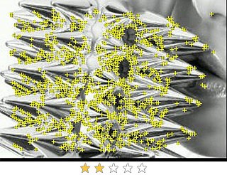 Feature distribution_1