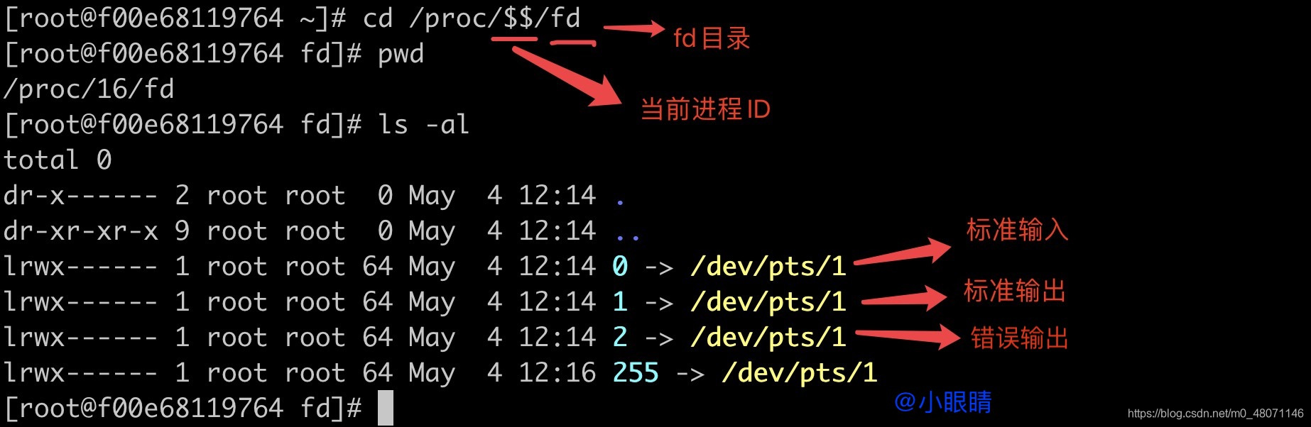 当前进程打开的文件描述符