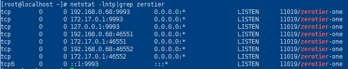 allow assignment of global ip zerotier