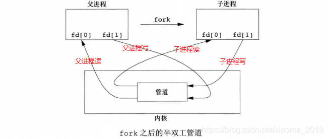 父子进程间的管道