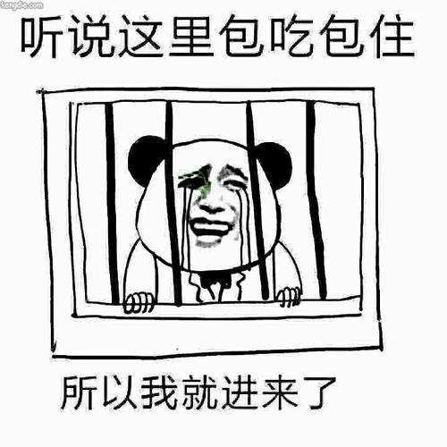 想从支付宝偷钱?手把手教学,从入门到入土人工智能qq2539879928的博客-
