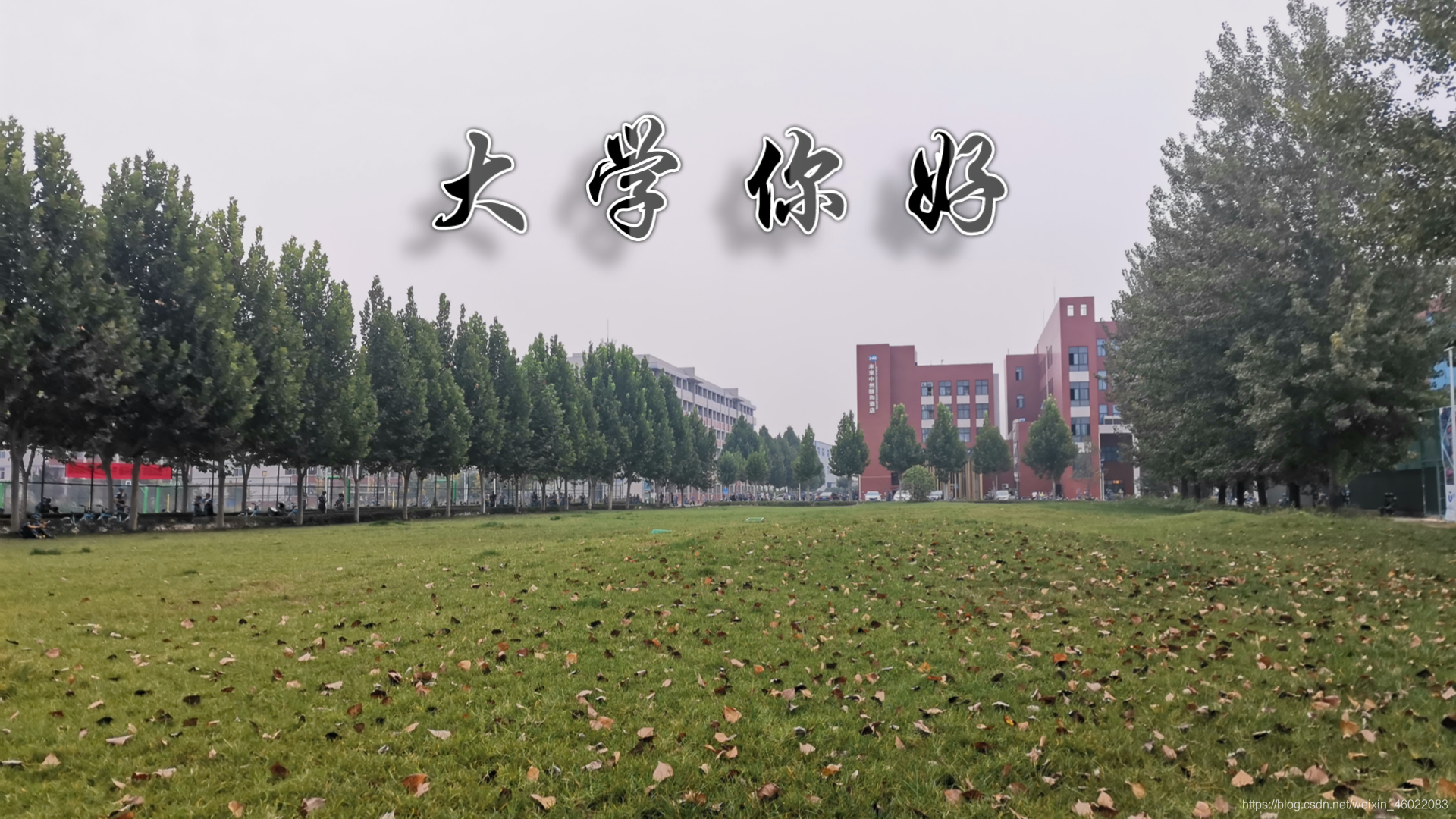 期待已久的大学生活之大一上大数据weixin46022083的博客-