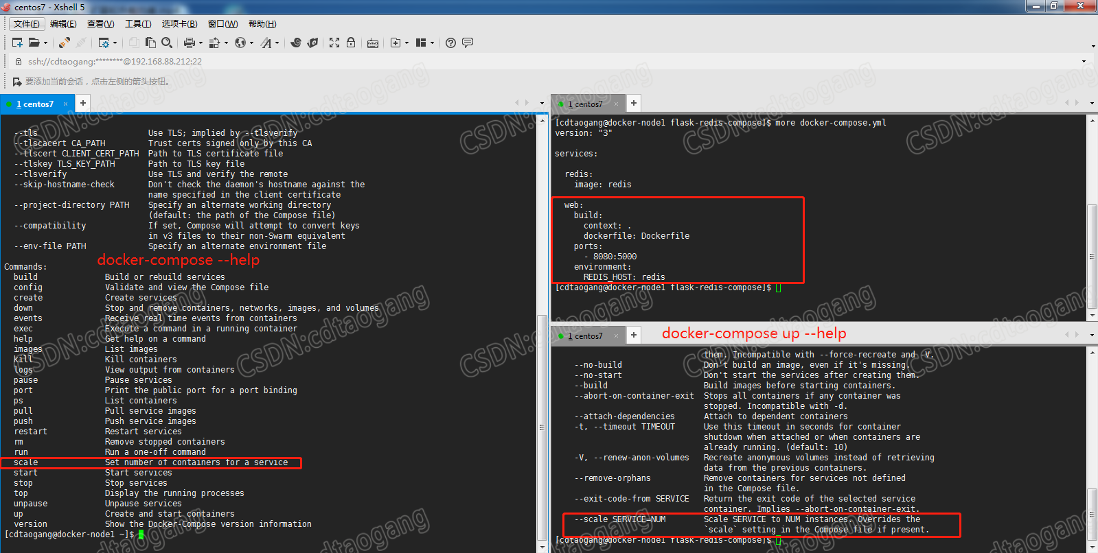 查看docker-compose以及docker-compose up帮助,可以看到scale命令
