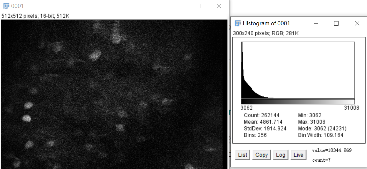 Fiji Imagej如何看一张图像的最小值和最大值 五味鱼头的草稿纸 Csdn博客