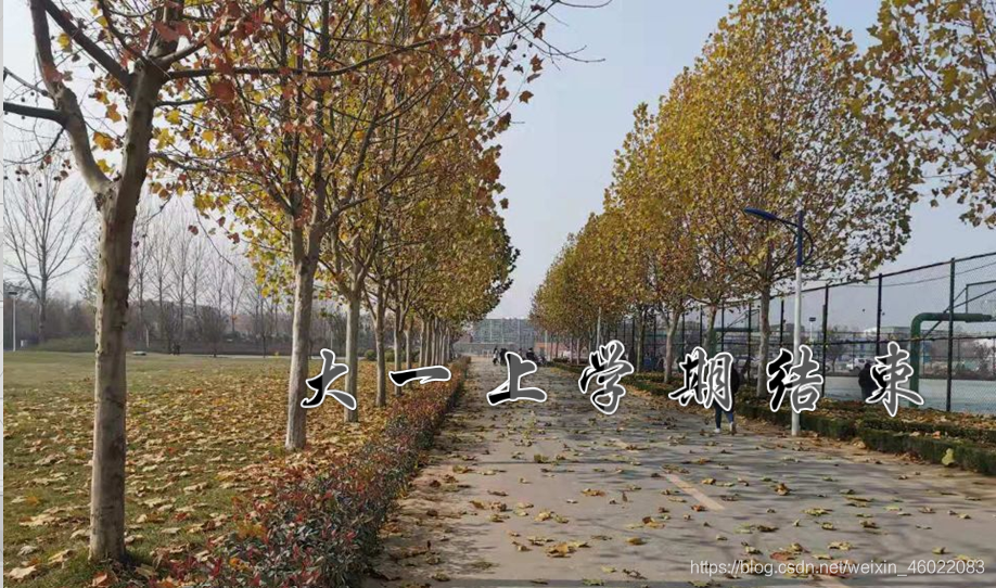 期待已久的大学生活之大一上大数据weixin46022083的博客-