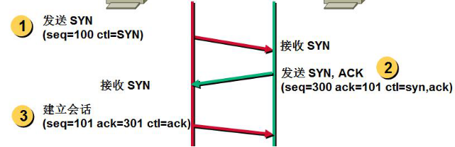 TCP和SCTP